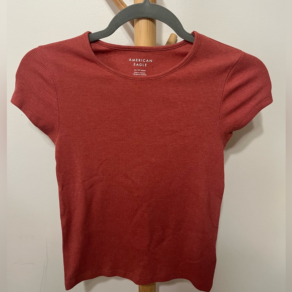 Burnt Orange Baby Tee - American Eagle